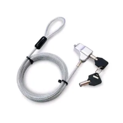 Hamlet Cavo di Sicurezza in Acciaio per Notebook Lucchetto con Chiave Attacco Wedge 3,2 x 4,5 mm 2 m