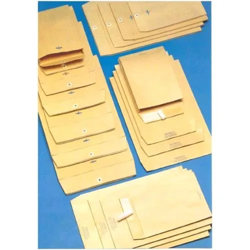 Blasetti Monodex Buste a Sacco con Strip 250X353 mm 100 g Col. Avana Conf 500 Pz.