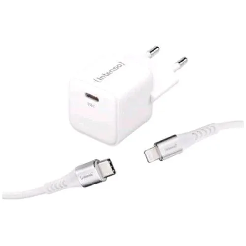 Intenso Power Charger Caricabatterie da Rete Gan 30 W USB-C + Cavo USB-C Bianco