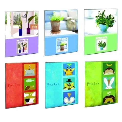 Lebez Album a Tasca 80 Foto in Plastica 23X30 cm Fantasie Assortite