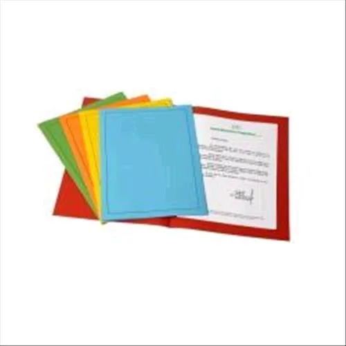 Fraschini 501-V Cartelline Bristol con Stampa 250X330 mm A4 Col. Verde Conf 50 Pz.