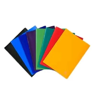 Exacompta Portalistini in PP 240X320MM A4 30 Fogli Fissi Leggermente Goffrati Col. Assortiti