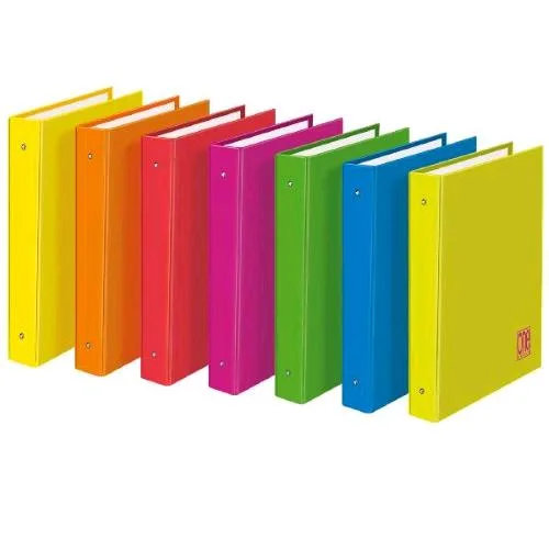 Blasetti Onecolr Fluo Raccoglitore 4 Anelli 30 mm in Cartoncino 320X260 mm A4 Colori Assortiti Conf 6 Pz.