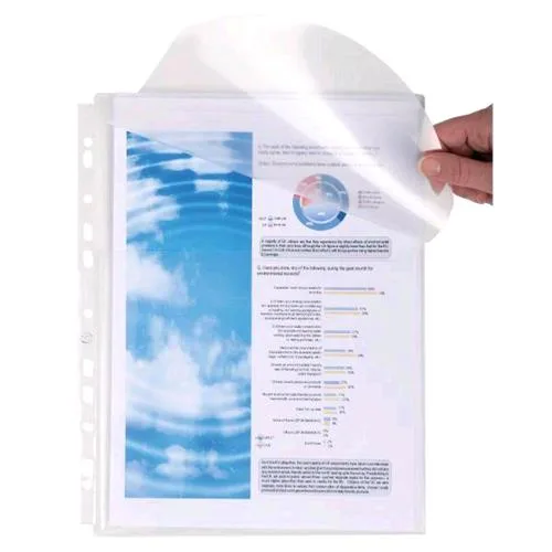 Exacompta Soft Plastic Buste con Foratura in PP CM 21X29.7 Portaprogetti a Soffietto da 25 mm con Patella Trasparente Conf 10 Pz.
