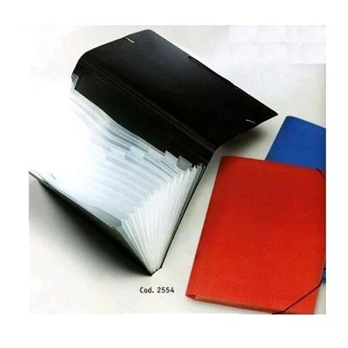Lebez P/Documenti Archiviatore a Soffietto 13 Scomparti in Polipropilene 33.5X24 cm Colore Nero