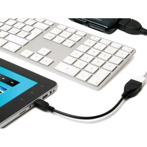 Hamlet Xuminiad Cavo Adattatore da Mini USB 5-Pin Maschio a USB Tipo a Femmina Trasferimento Dati fino a 480 Mbps