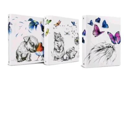 Plastibor Icon Friends Raccoglitore 4 Anelli da 25 mm in PP 260X320X40 mm Fantasie Assortite Conf 12 Pz.