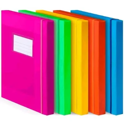 Plastidea Cartella 3 Lembi in PP con Elasticoo 330X243 mm A4 Dorso 3 cm Colori Assortiti Fluo
