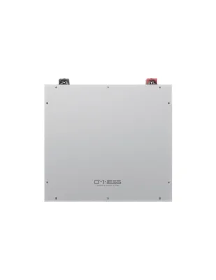 Batteria al litio DL5.0C Dyness 5.12kWh - DL5.0C