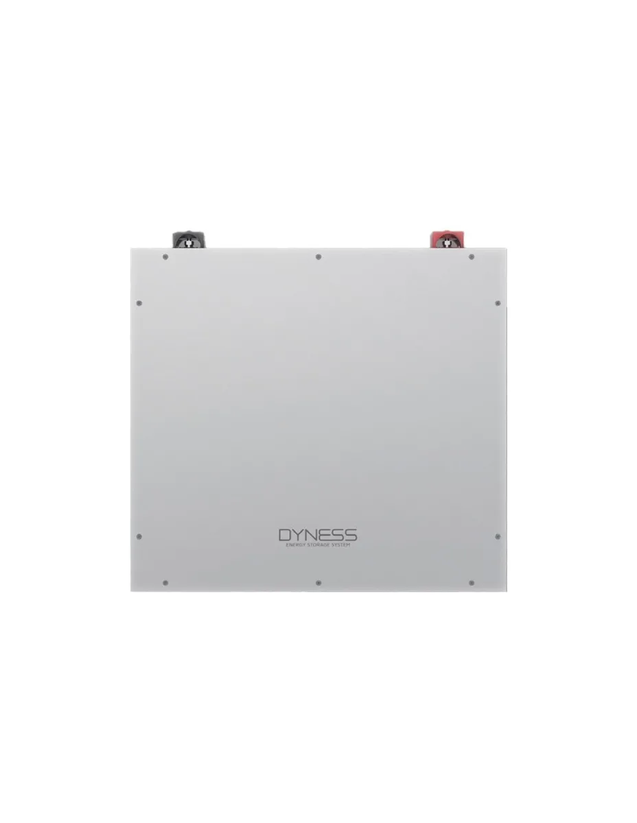Batteria al litio DL5.0C Dyness 5.12kWh - DL5.0C