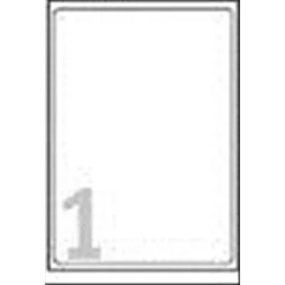 Avery-Zweckform L6013-20 Conf 20 Etichette 297X210 mm Autoadesive Argento