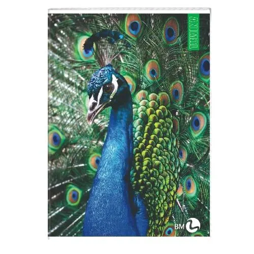 Be More Animal Quaderno Punto Metallico 80g 210X297 mm A4 40 Fogli a Quadretti 0Q Fantasie Assortite Conf 10 Pz.
