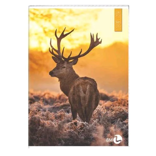 Be More Animal Quaderno Punto Metallico 80g 210X297 mm A4 40 Fogli a Quadretti 5M Fantasie Assortite Conf 10 Pz.
