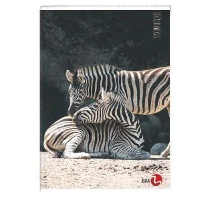 Be More Animal Quaderno Punto Metallico 80g 210X297 mm A4 40 Fogli a Righe 0C Fantasie Assortite Conf 10 Pz.
