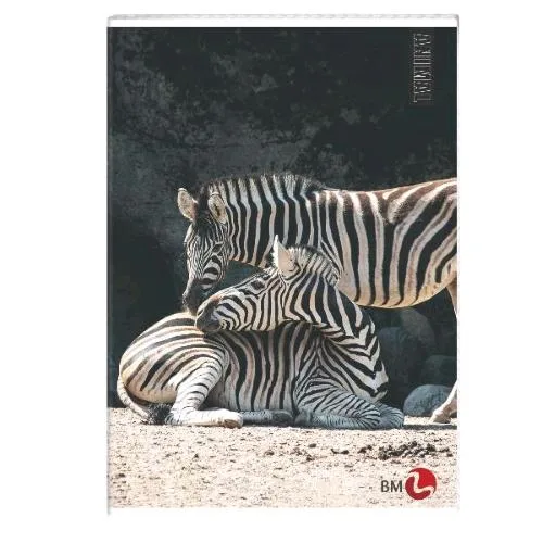 Be More Animal Quaderno Punto Metallico 80g 210X297 mm A4 40 Fogli a Righe 0C Fantasie Assortite Conf 10 Pz.