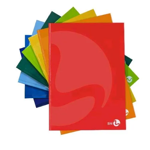 Be More Cartonato Color Quaderno Maxi 80g 210X297 mm A4 96 Fogli a Quadretti 10 Colori Assortiti Conf 5 Pz.