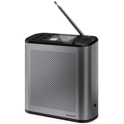 Sharp DR-P530(GY) Osaka Radio Digitale Portatile Dab/Dab+/FM con RDS Bluetooth 5.3 Schermo a Colori 2.4" Doppia Sveglia Grigio