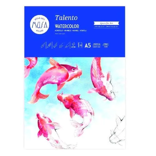 CWR Talento Blocco da Disegno 14.8X21 cm 300g 10 Fogli Carta Liscia Bianco