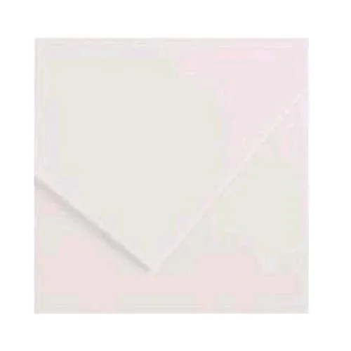 Canson Colorline Cartoncino 220 g 70X100 cm Bianco Conf 25 Pz.