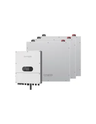 Sistema di accumulo monofase inverter 6kW Dyness batteria al litio 15.36kWh DL5.0C