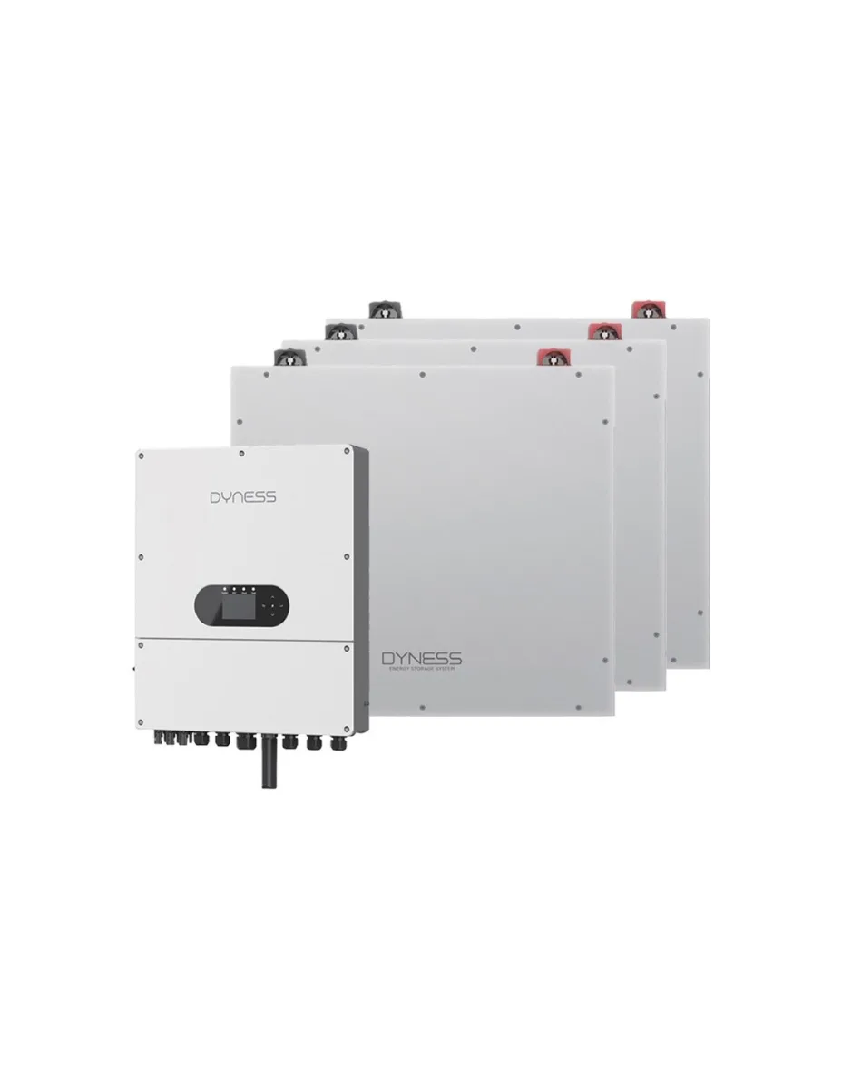 Sistema di accumulo monofase inverter 6kW Dyness batteria al litio 15.36kWh DL5.0C