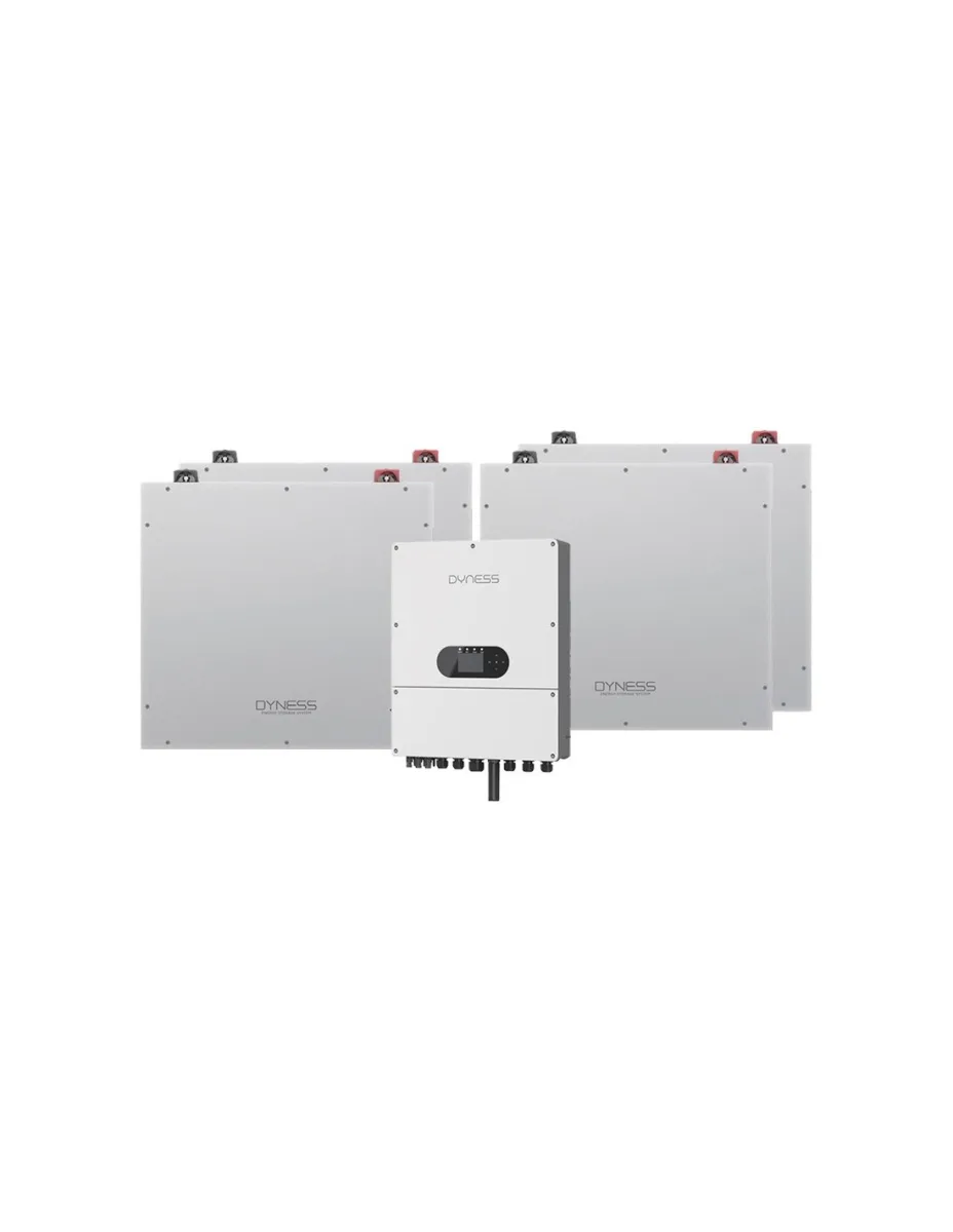 Sistema di accumulo monofase inverter 6kW Dyness batteria al litio 20.48kWh DL5.0C