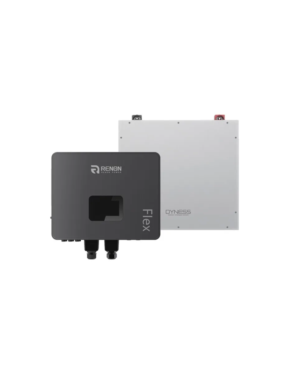 Sistema di accumulo monofase Off-Grid inverter 6kW Renon Power accumulo 5.12kWh Dyness DL5.0C