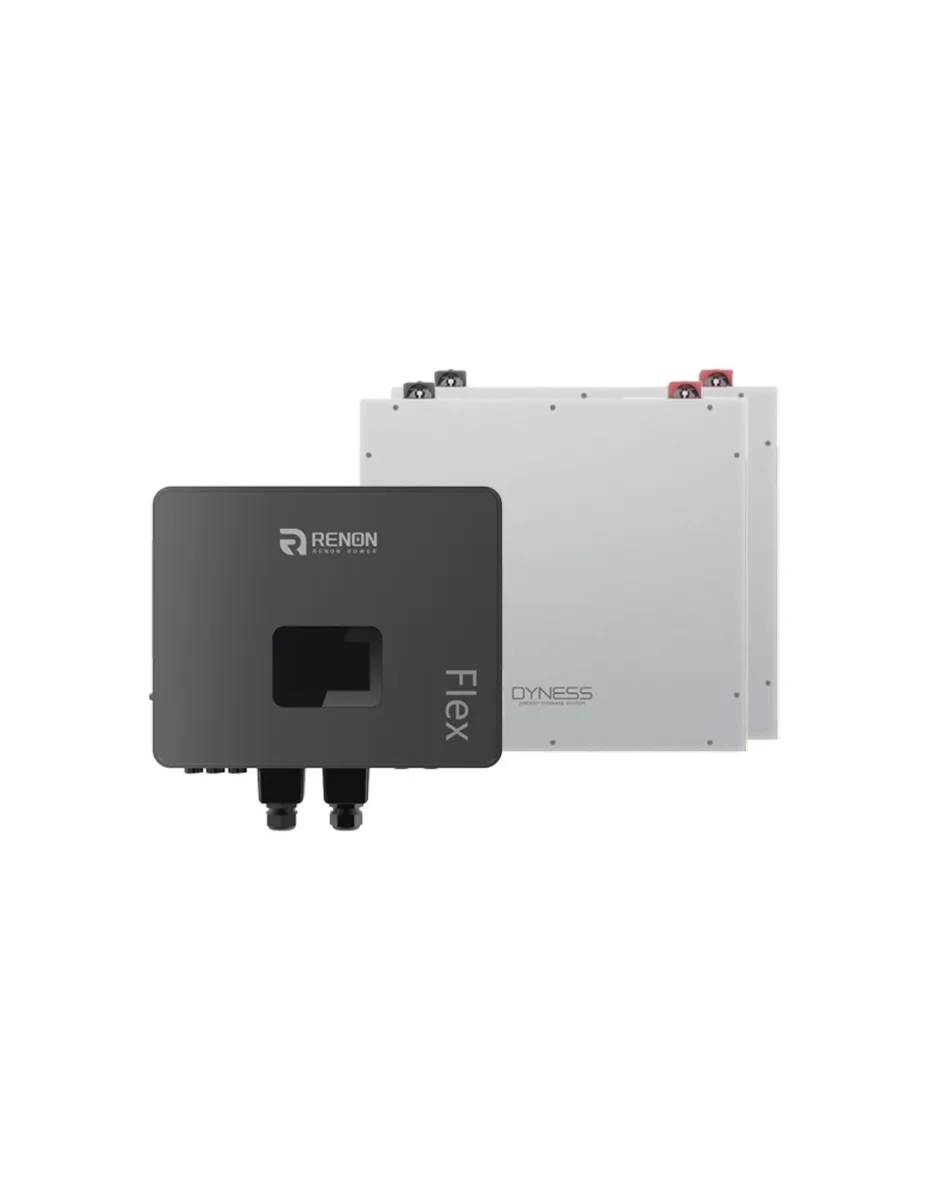 Sistema di accumulo monofase Off-Grid inverter 6kW Renon Power accumulo 10.24kWh Dyness DL5.0C