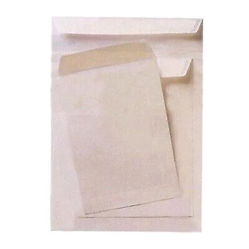 Pigna Competitor Buste a Sacco Internografate 250X353 mm Col. Bianco Conf 500 Pz.