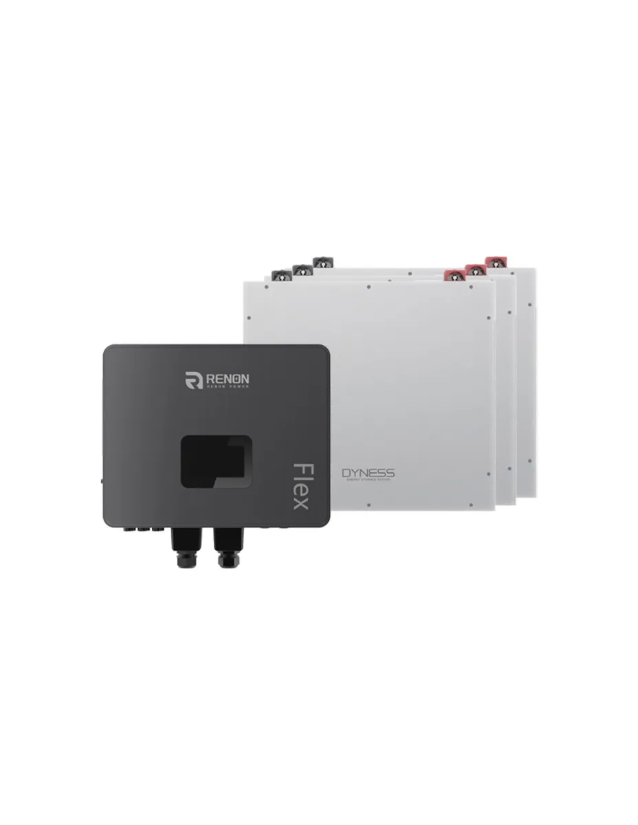 Sistema di accumulo monofase Off-Grid inverter 6kW Renon Power accumulo 15.36kWh Dyness DL5.0C