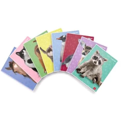 Pigna Dolci Cuccioli Maxi Quaderno Punto Metallico 80 g A4 42 Fogli a Quadretti 10 8 Soggetti Assortiti Conf 10 Pz.