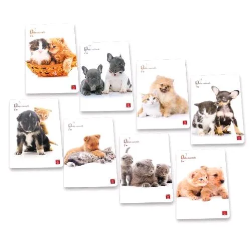 Pigna Dolci Cuccioli Quaderno Punto Metallico 80 g 20 Fogli a Righe 0B 210X297 mm A4 Fantasie Assortite Conf 10 Pz.