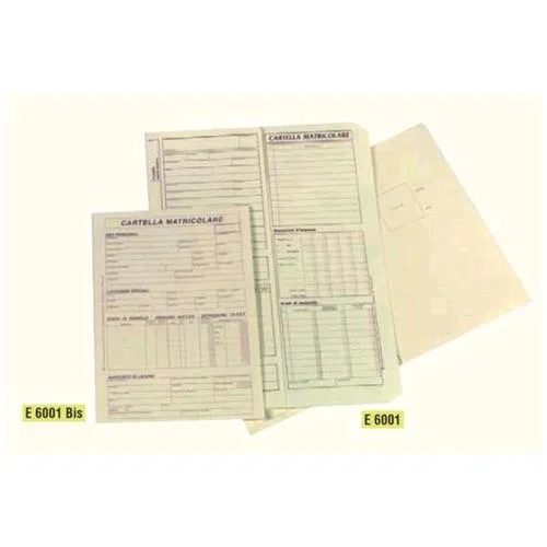Edipro Schedario Cartella Matricolare 170X240 mm Conf 100 Pz.