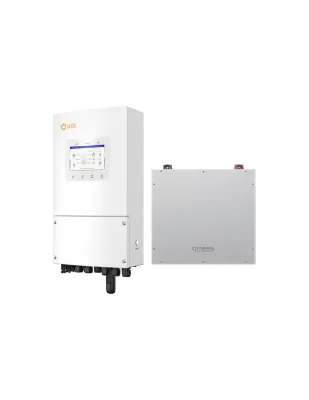 Sistema di accumulo monofase inverter 3kW Solis batteria al litio 5.12kWh Dyness DL5.0C