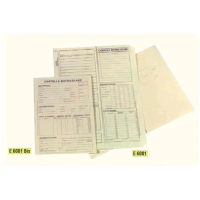 Edipro Schedario Cartella Matricolare 320X230MM 50 Fogli