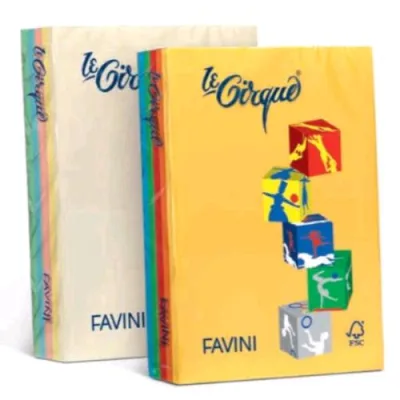 Cartotecnica Favini le Cirque Mix Tenui Forti Risma da 250 Fogli 160 g 21 x 29.7 cm A4 Colori Assortiti