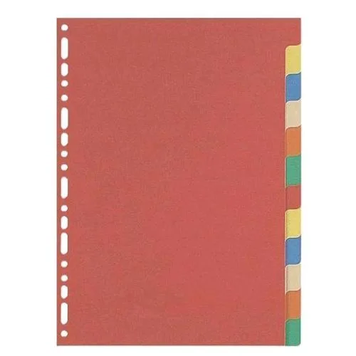 ELBA Intercalare in Cartoncino 160g 210X297 mm Foratura Universale 12 Tacche Neutre Colori Assortiti Conf 20 Pz.
