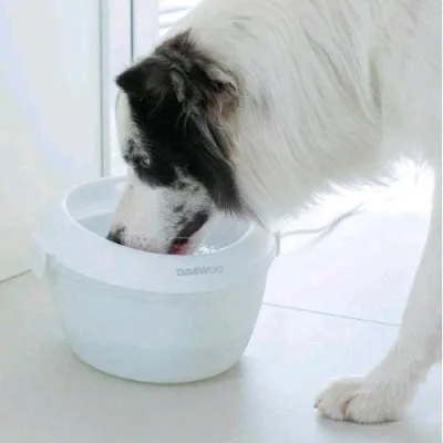 Daewoo D-DH0154-W Smart Pet Water Fountain Fontana D'acqua Automatica 4 l per Animali Zona di Abbeveraggio Rialzato Labavile in Lavastovigli Bianco