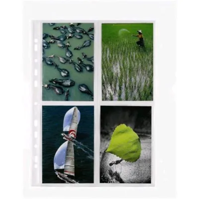 Favorit Special Buste Portafoto con Foratura Universale in PP CM 22.5X31.5 con 8 Tasche Trasparente Conf 10 Pz.