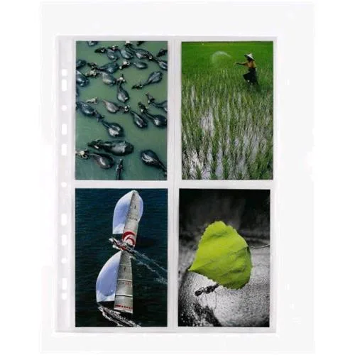 Favorit Special Buste Portafoto con Foratura Universale in PP CM 22.5X31.5 con 8 Tasche Trasparente Conf 10 Pz.