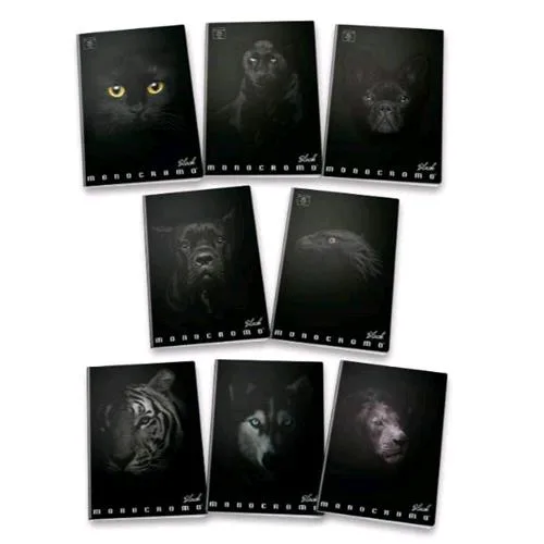 Pigna Maxi Monocromo Black Quaderno A4 100 g Quadretti 0Q 20 Fogli Conf 10 Pz.