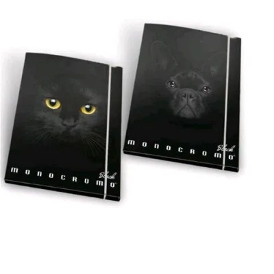 Pigna Monocromo Black Cartella 3 Lembi in Cartone con Elastico A4 Dorso 1.3 cm Conf 6 Pz.