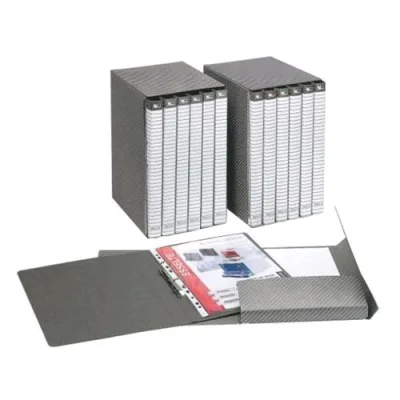 Esselte 154 Delso Line 6 Cartelline 2 Lembi in Fibrone 250X320 mm Dorso 1.5 cm Unica Custodia Col. Grigio