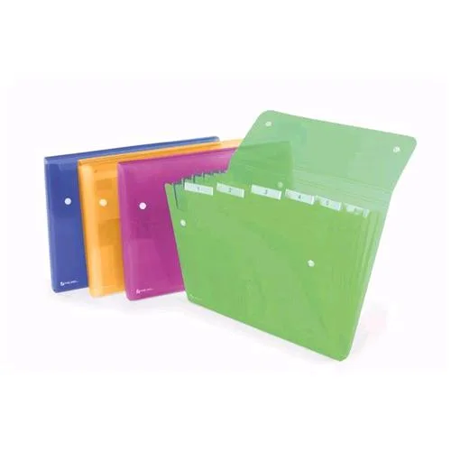 Rexel Ice Cartelle a Soffietto in PP 6 Tasche 330X250MM A4 Col. Assortiti