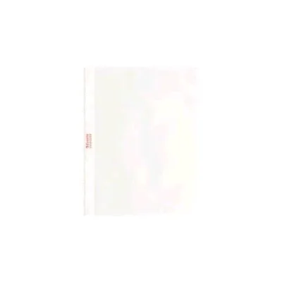 Esselte Buste con Foratura in Plastica Antiriflesso CM 15X21 Trasparente Conf 25 Pz.