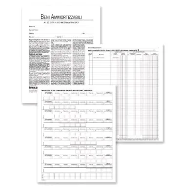 Data Ufficio Registro Beni Ammortizzabili 245X310 mm 97 Pagine Numerate Conf 2 Pz.