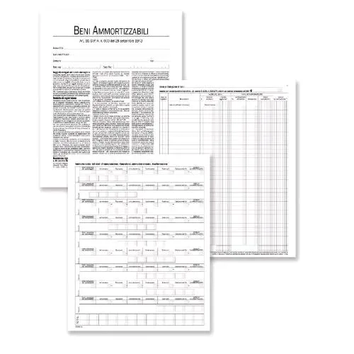 Data Ufficio Registro Beni Ammortizzabili 245X310 mm 97 Pagine Numerate Conf 2 Pz.
