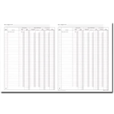 Data Ufficio Registro Beni Ammortizzabili 45 Fogli 245X310 mm Conf 5 Pz.