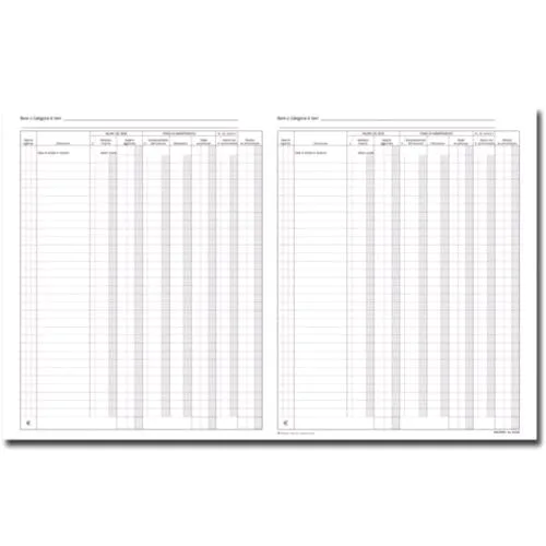 Data Ufficio Registro Beni Ammortizzabili 45 Fogli 245X310 mm Conf 5 Pz.
