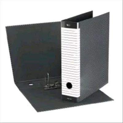 Esselte Delsoline G15 Registratore Formato Protocollo 230X300X80 mm Col. Bianco/Grigio Conf 6 Pz.